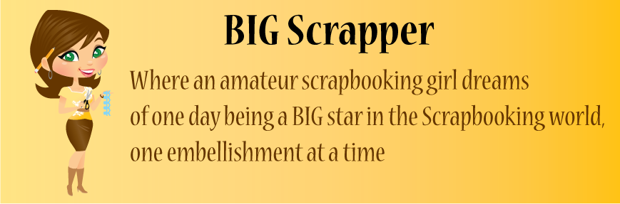 BIG Scrapper