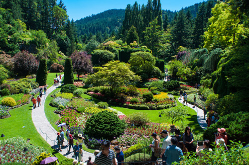 [Image: thanh-pho-day-hoa-cua-dat-nuoc-tuyet-dep...ada-16.jpg]