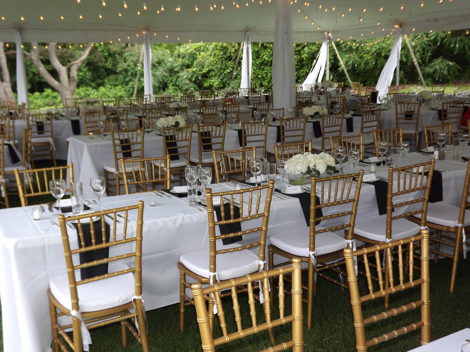 Servant's Heart Catering An Elegant wedding at Billings Estate Museum