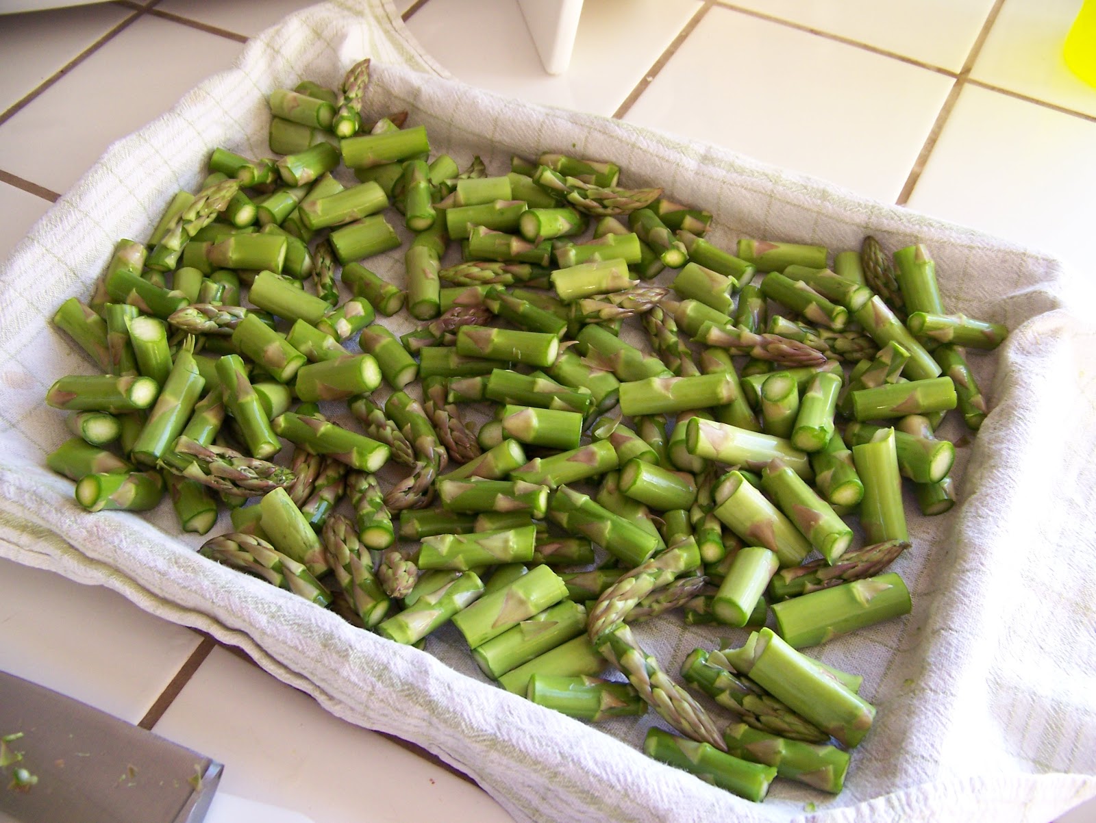 Near to Nothing Frozen Asparagus