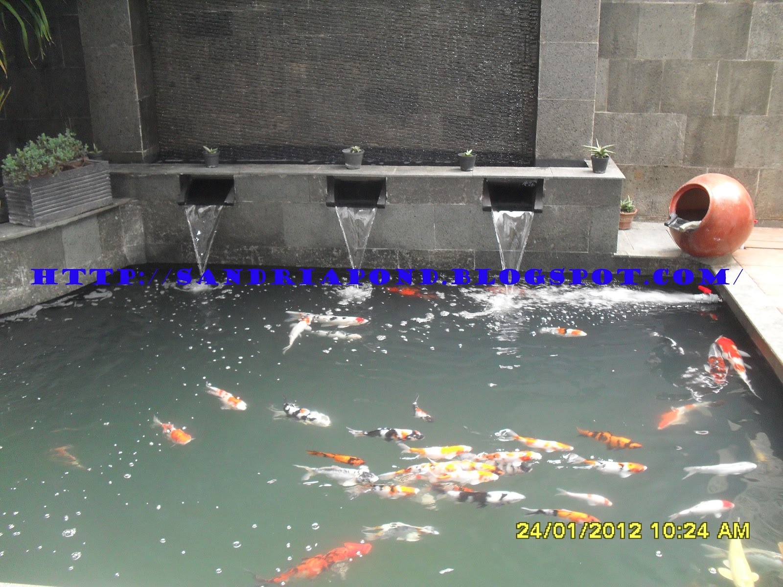 pemberian bacteria starter pump blower kolam aerator kolam kolam