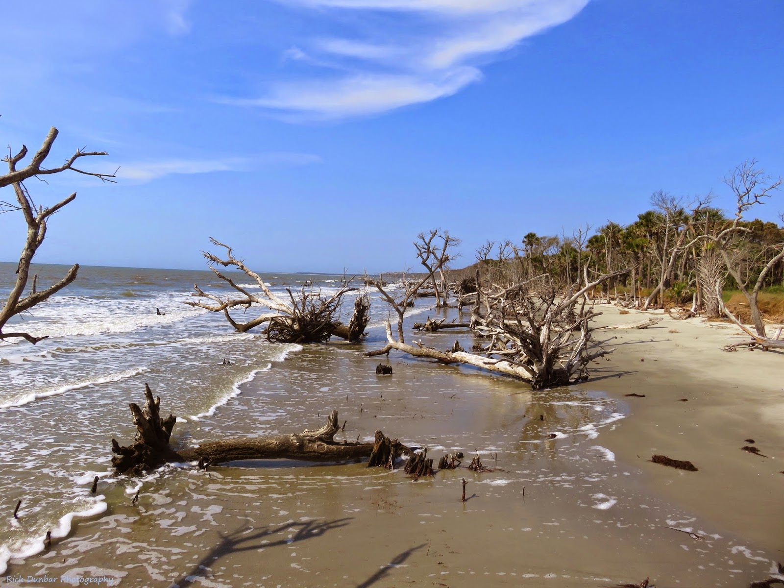 Vacation Rick A Charleston Barrier Island Tour Highly Worth A Trip To