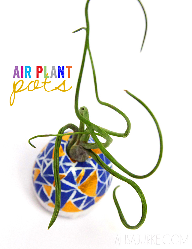 alisaburke air plant pots