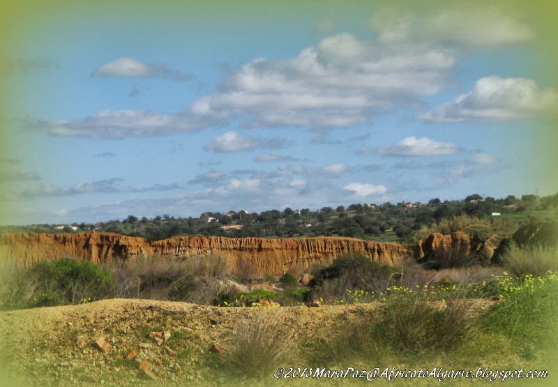 Algarve landscape after clay extraction