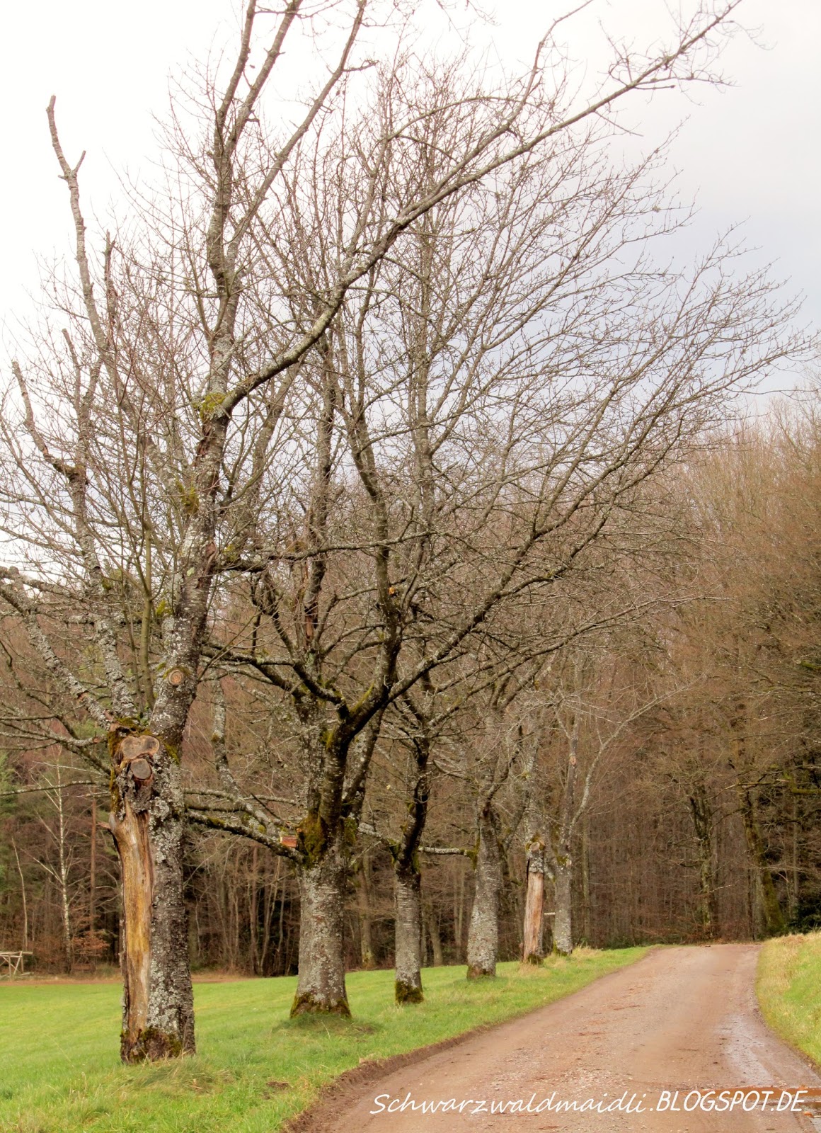 Chateau Et Chocolat Foodblog