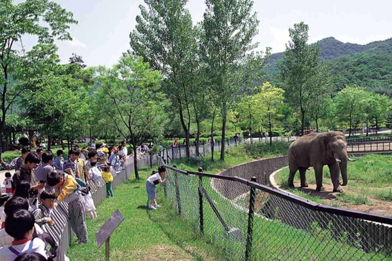 Grim's Diary Travel Adventures in Korea Nature Escape Seoul Grand Park