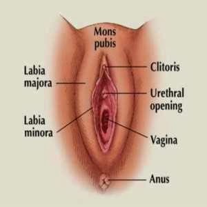 Jun 4, 2013 I know that the feeling of a loose vagina leaves many amazing (btw. tight pussy loose pussy Confused when reading different information about a loose vagina?
