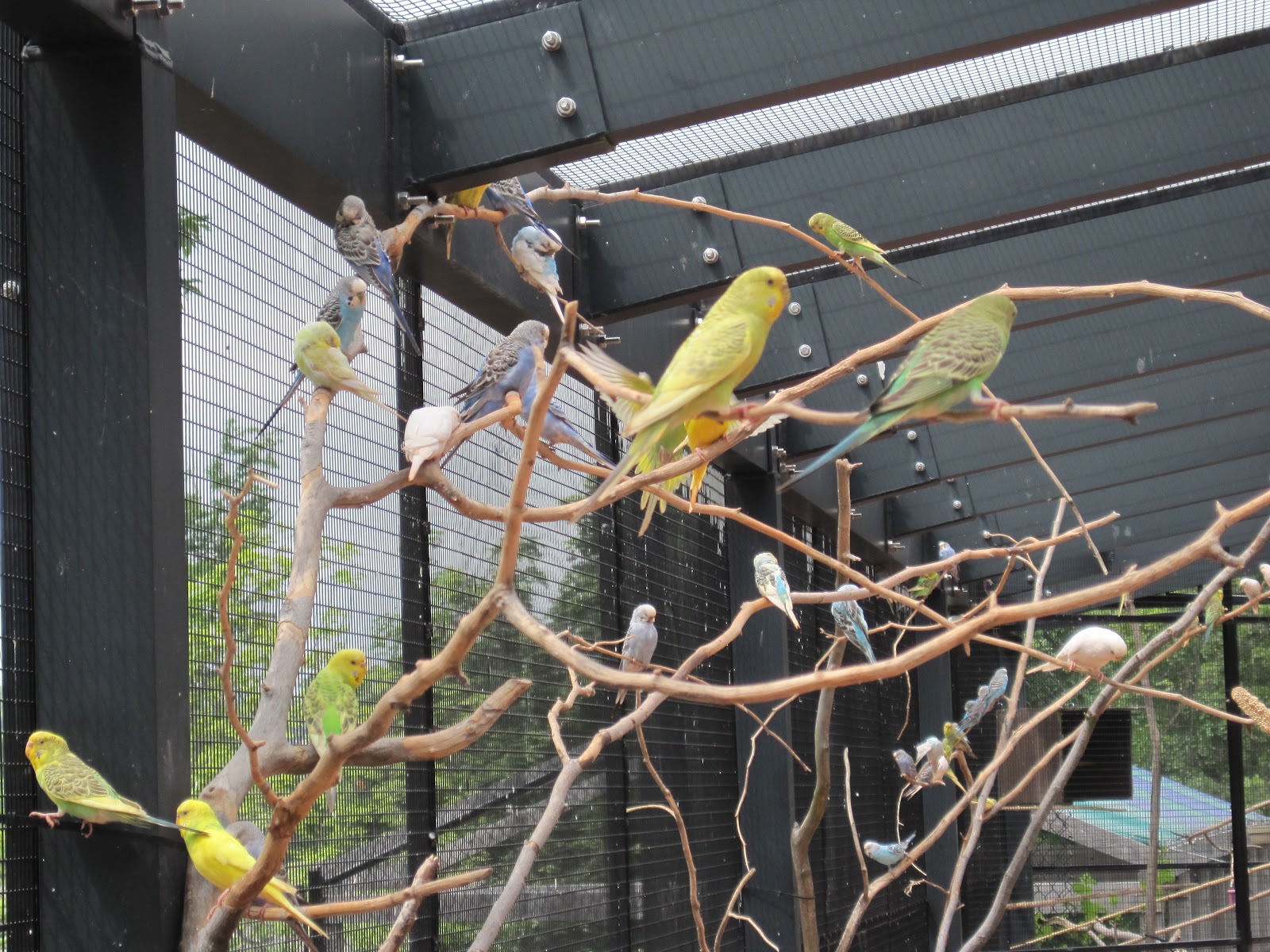 NJMum Turtle back Zoo!