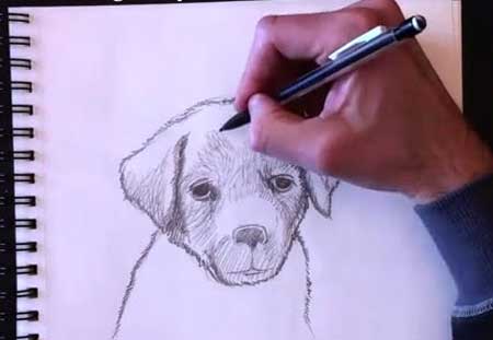 Drawing a dog with Paolo Morrone