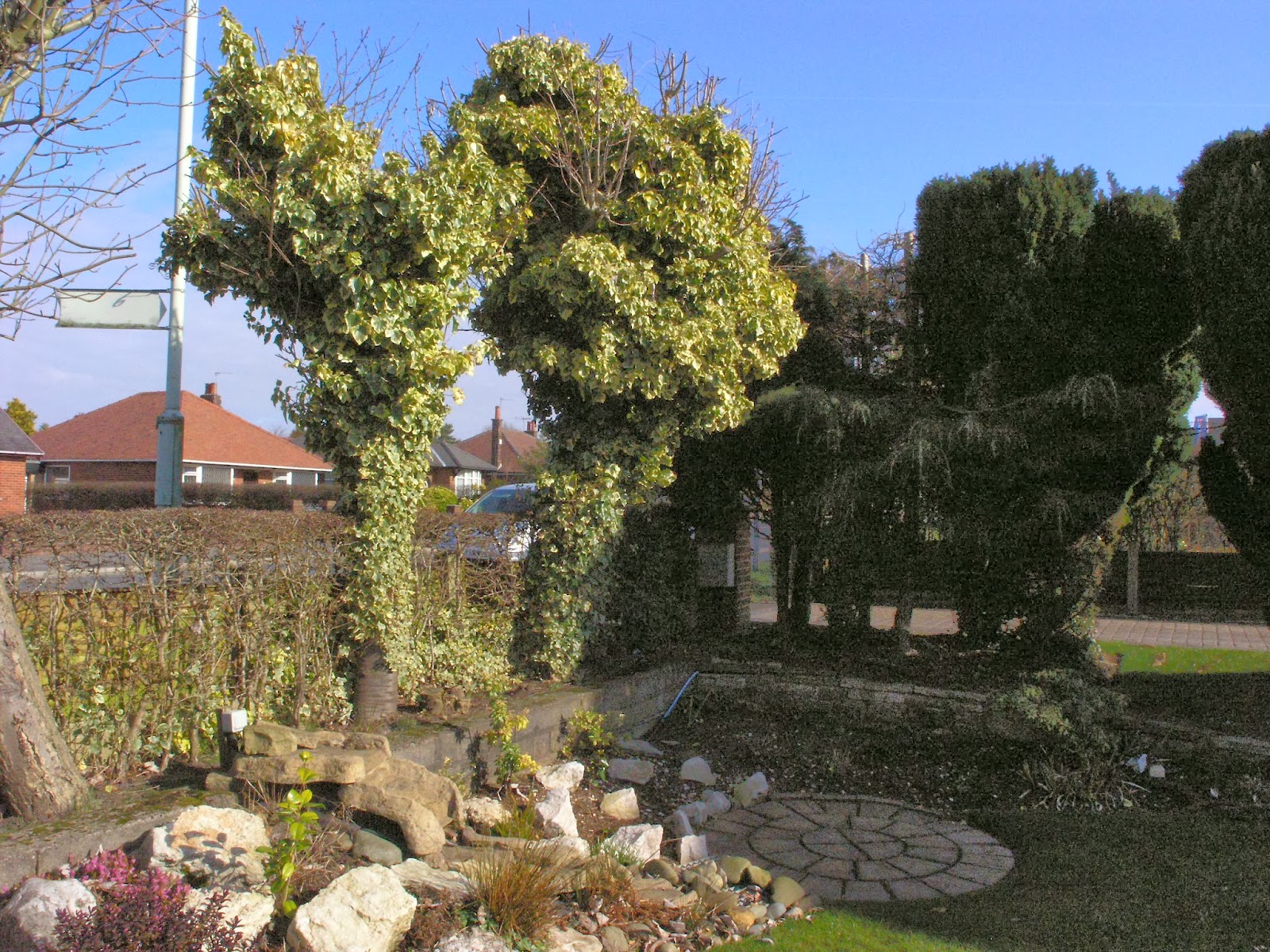 David Keegans Garden Design Blog: Garden Design Project in Leyland