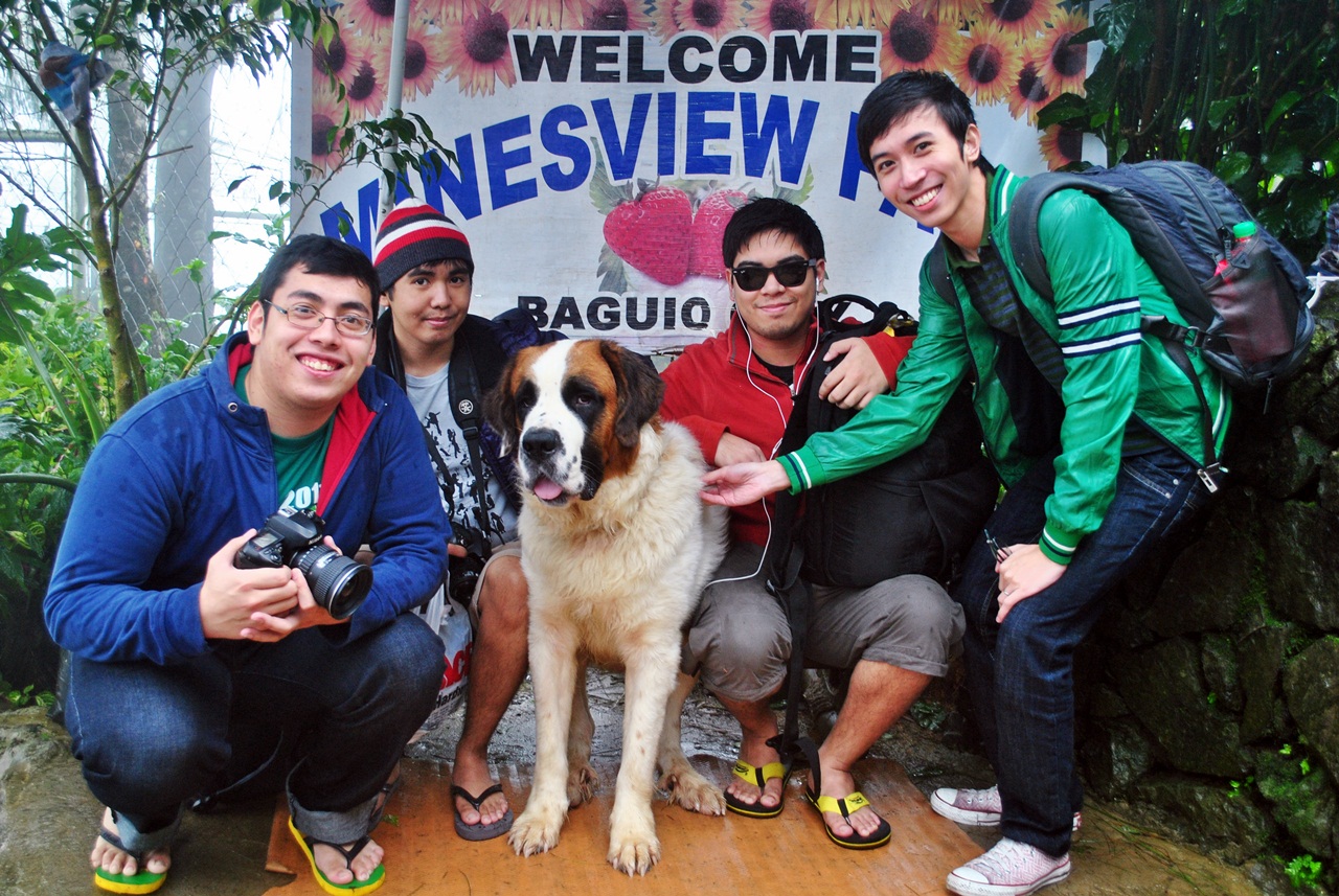 Touring Baguio amidst Typhoon Quiel JAYtography A Travel Blog