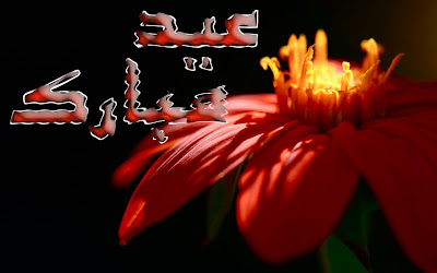 Red Flower Black Background Eid Cards Wallpapers
