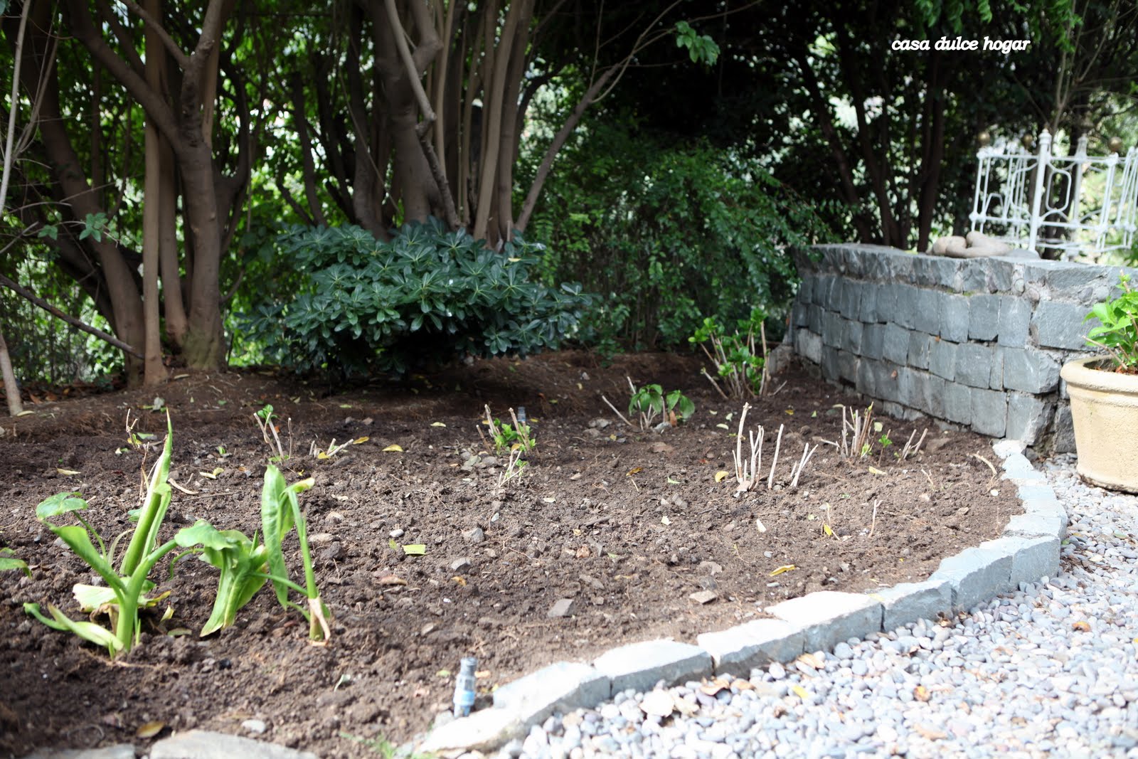 casa dulce hogar: de jardín en sombras a patio duro