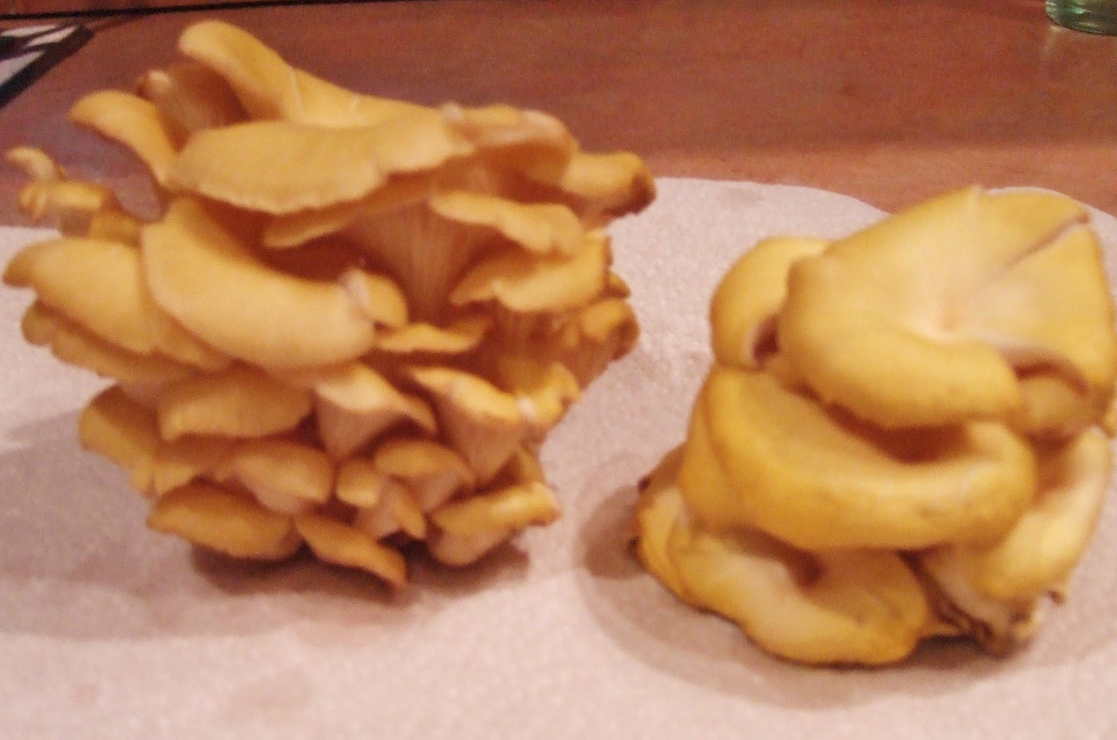 Easy Life Meal and Party Planning Yellow Shiitake Mushroom Stir Fry