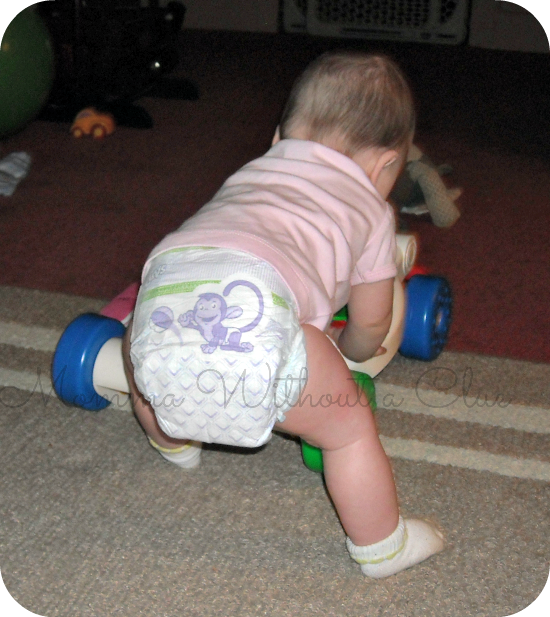 Review by Jamie Knupp Luvs Diaper Review