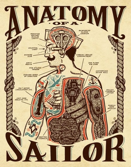 юмор и узлы - Страница 8 Anatomy+of+a+sailor