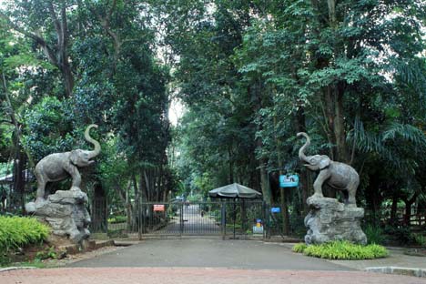 Kebun Binatang Ragunan | Blog Pariwisata