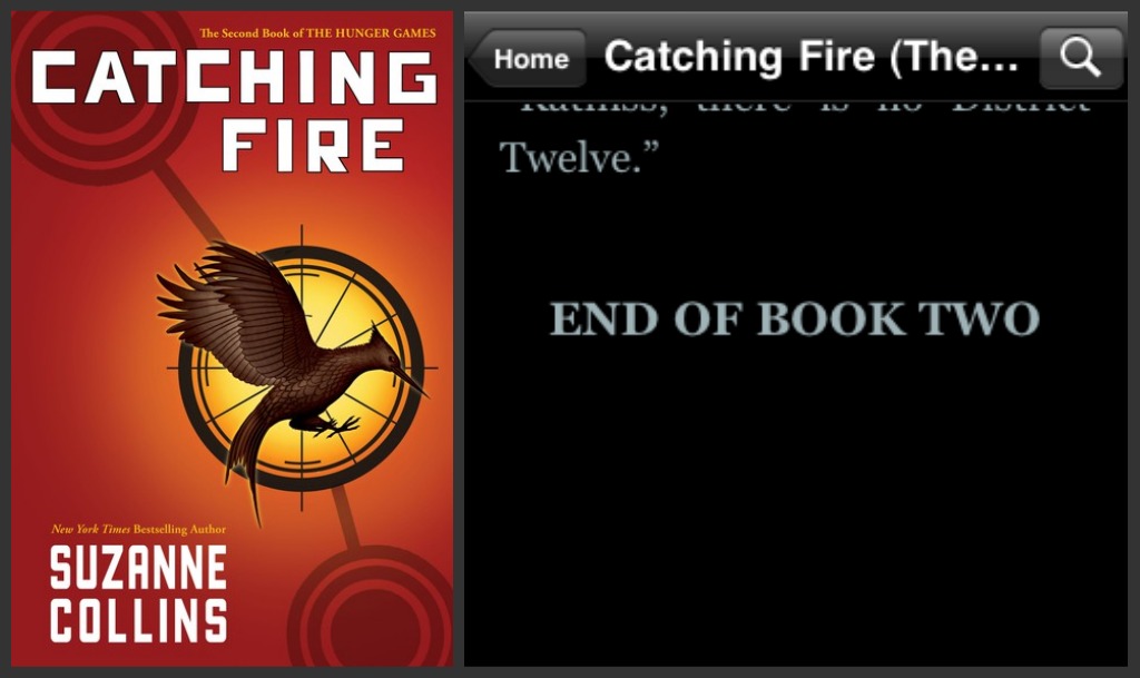 catching fire end of book