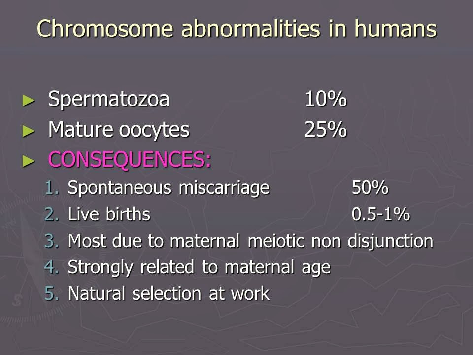 Slide 47
