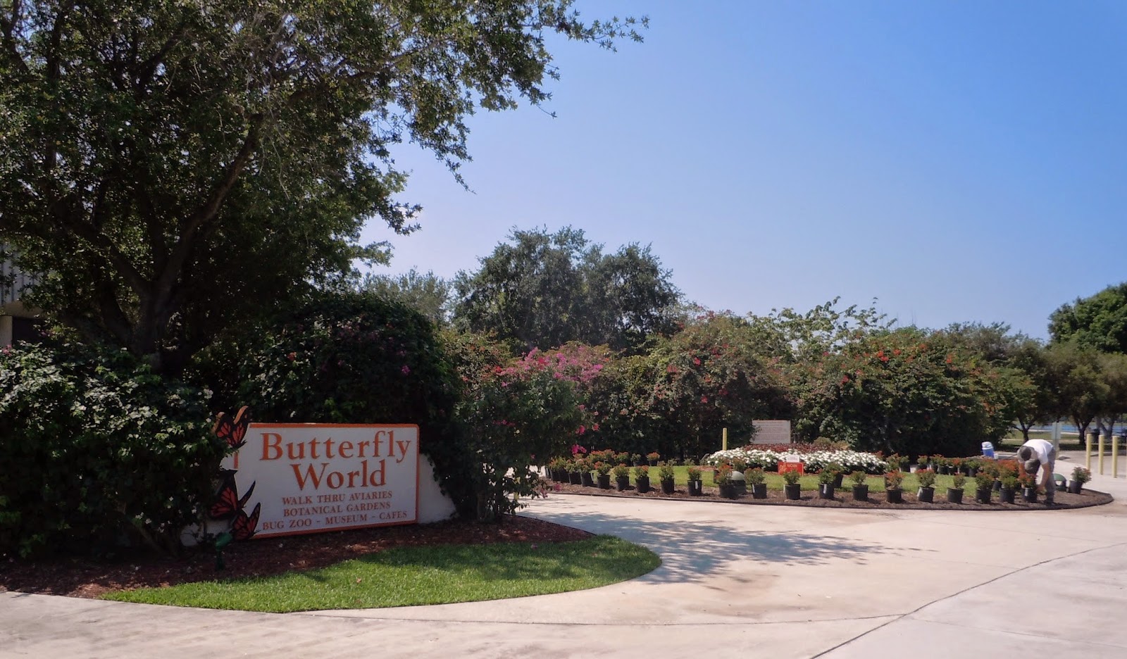 Tuấn Đoan .Butterfly World Fort Lauderdale Florida