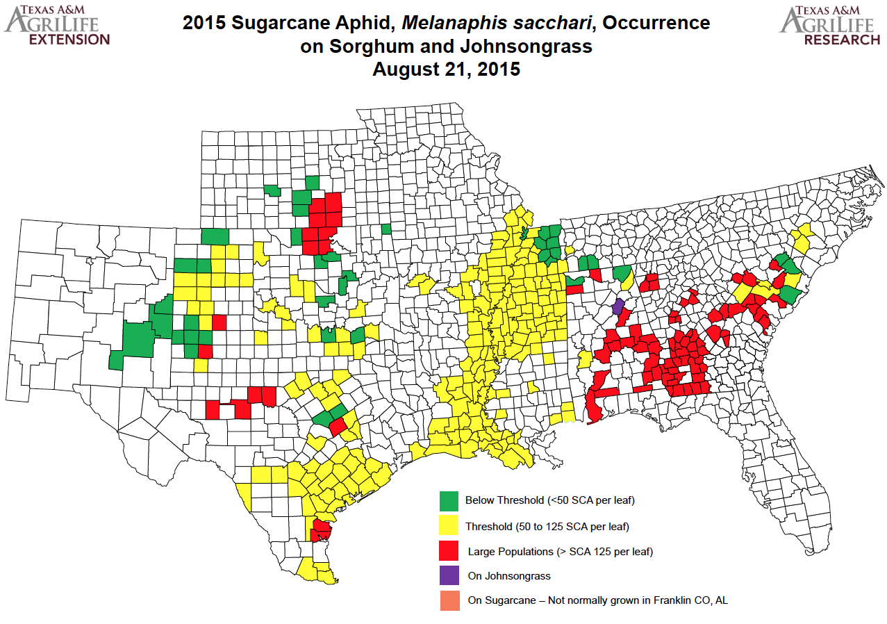dr robert bowling has updated the sugarcane aphid map to reflect a further expansion of the aphid s range dr robert bowling has updated the sugarcane aphid map to reflect a further expansion of the aphid s range
