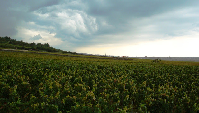 Burgundy storm - Copyright Ed Fitzgerald 2012