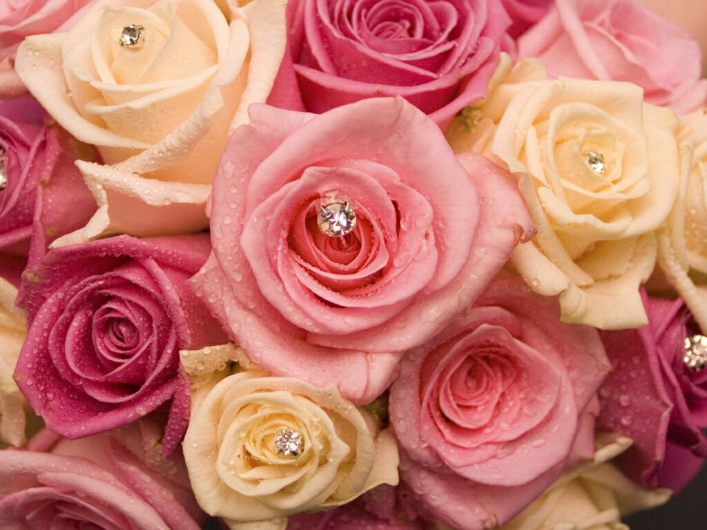 Flowers For Flower Lovers Flowers Wallpapers Beautiful Roses Backgrounds