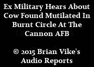 BRIAN VIKE'S AUDIO REPORTS. © 2015 BRIAN VIKE
