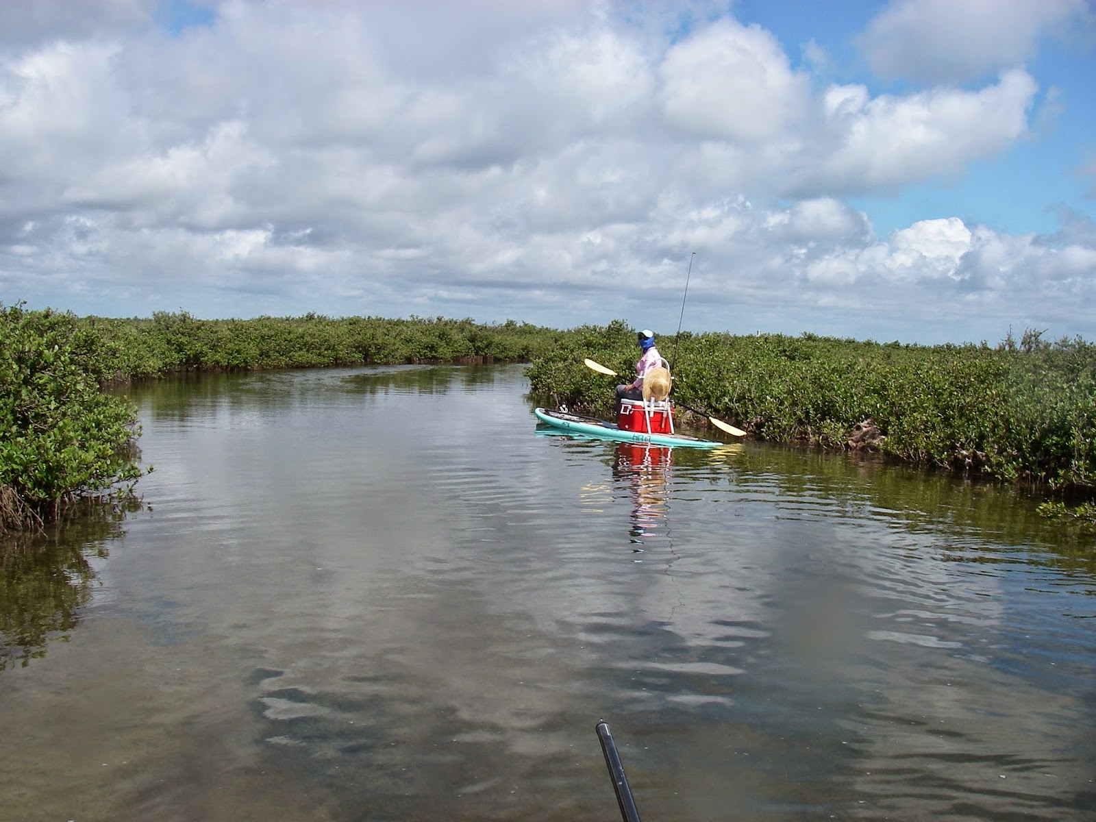 Fire Fly Fisherman Lighthouse Lakes / Aransas Pass