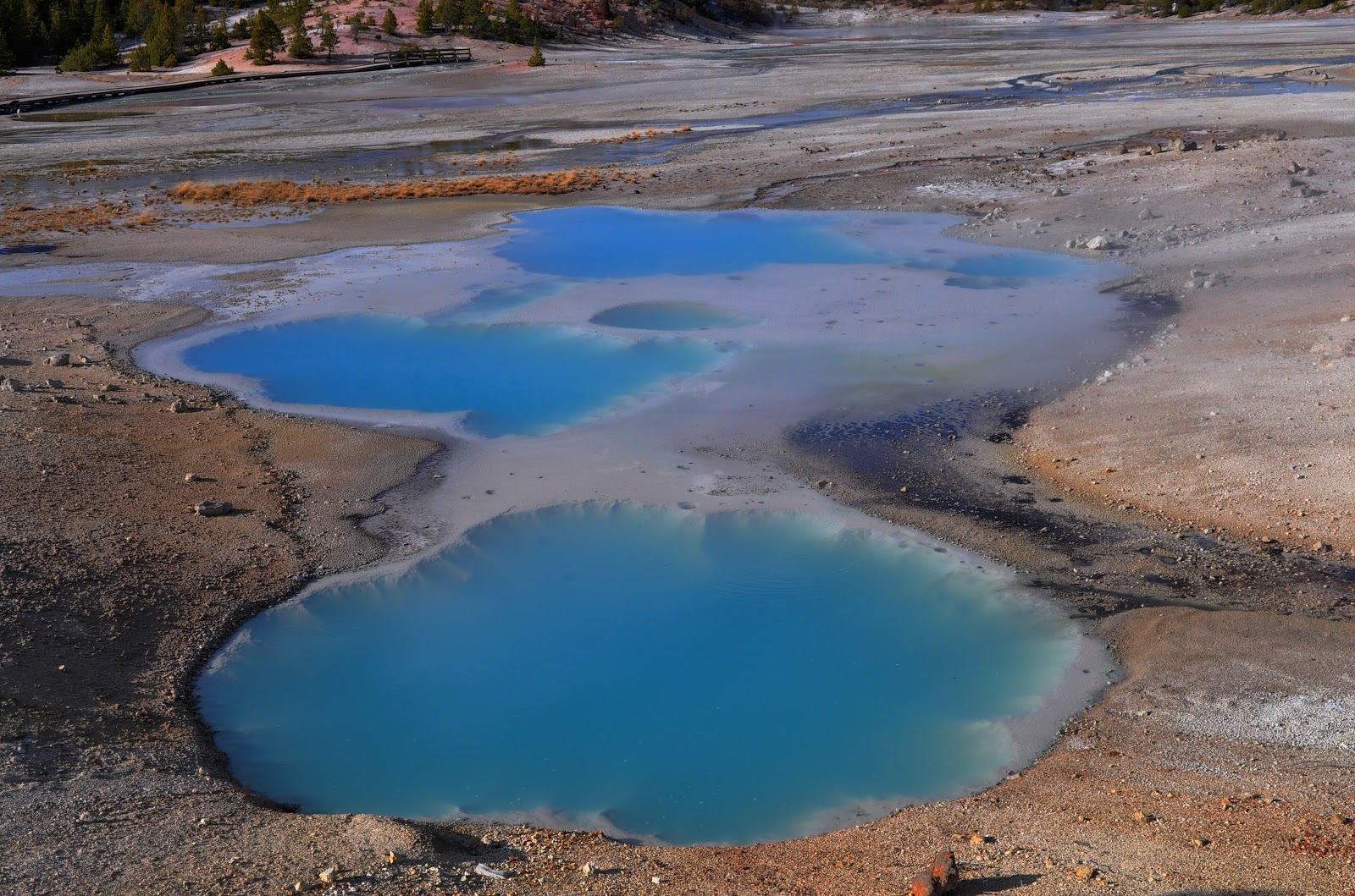 Nikon Sniper Yellowstone Swimming Pools