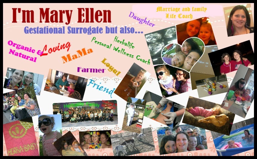 Mary Ellen and her Surrogate Journey