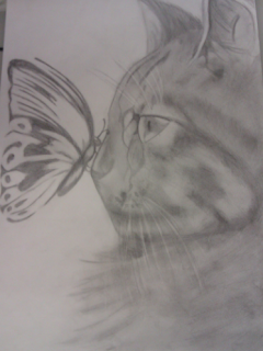 Didáctica de la expresión plástica y visual : Gato y mariposa a lápiz