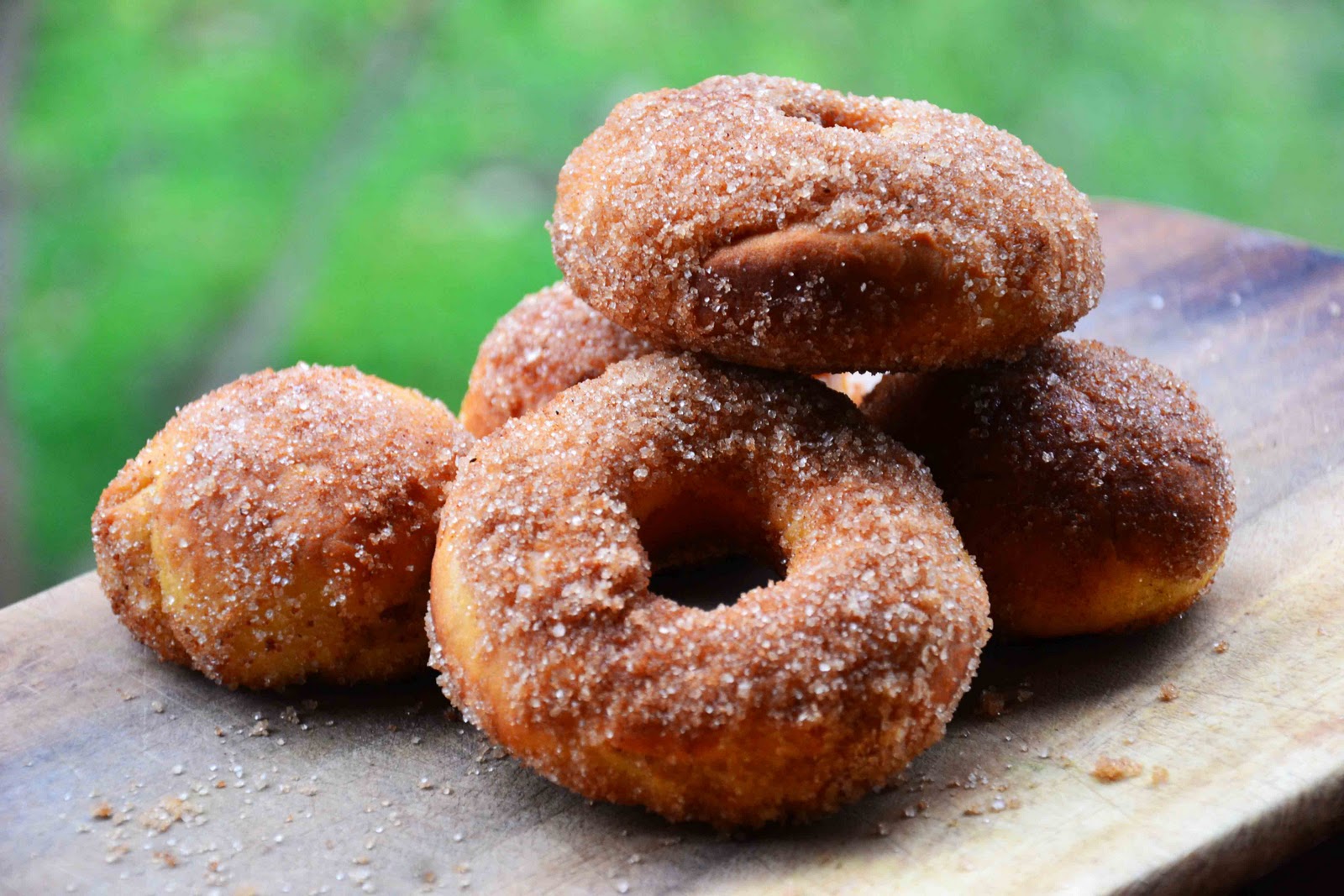 Cinnamon Sugar Coated Baked Doughnuts