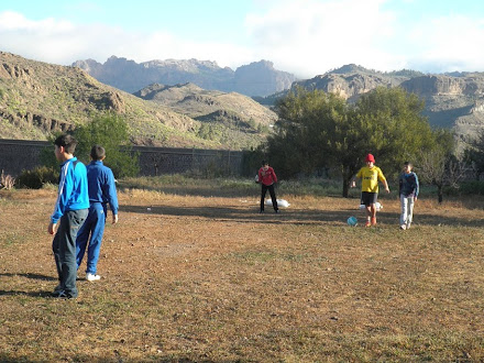 Actividades de este 2º Trimestre 2013