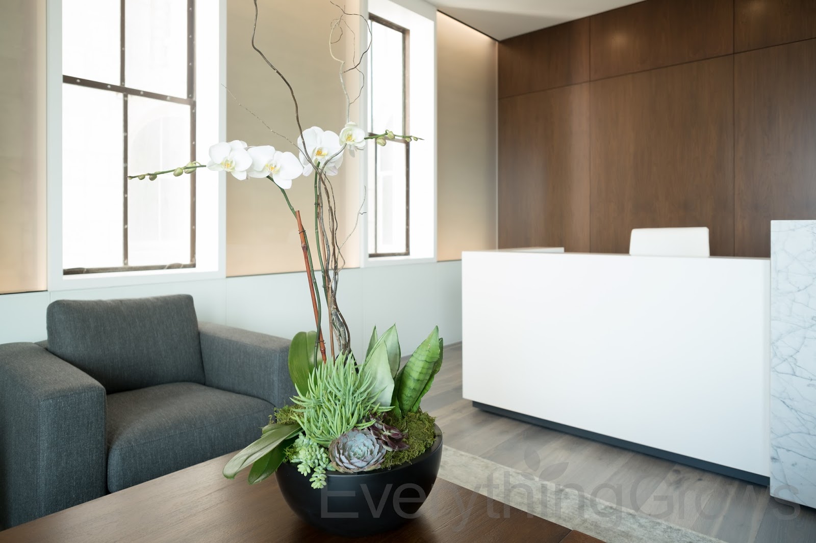 Everything Grows: Modern Spaces, Modern Plants Everything Grows: Modern Spaces, Modern Plants