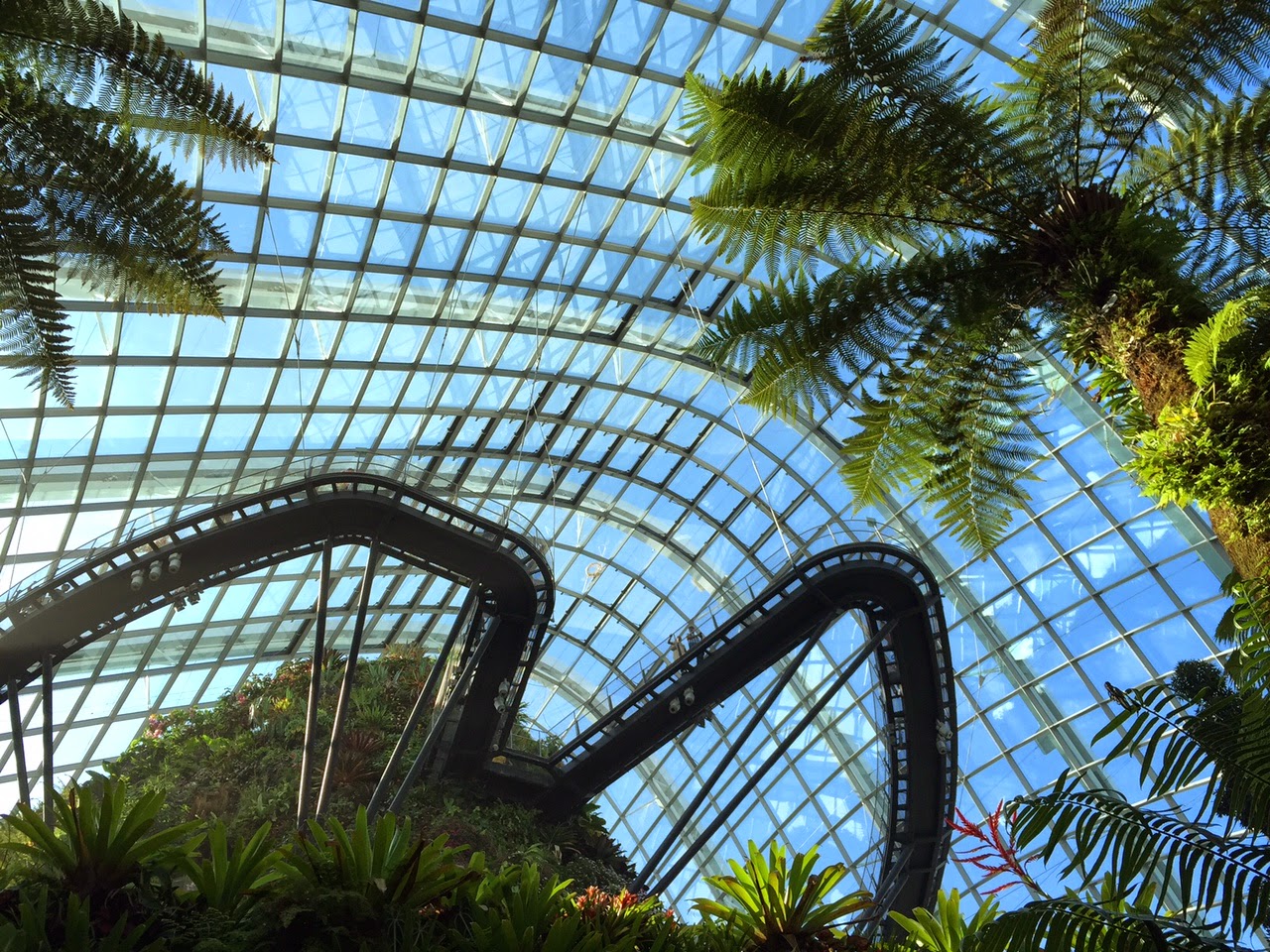 Cloud Forest gardens by the bay singapore