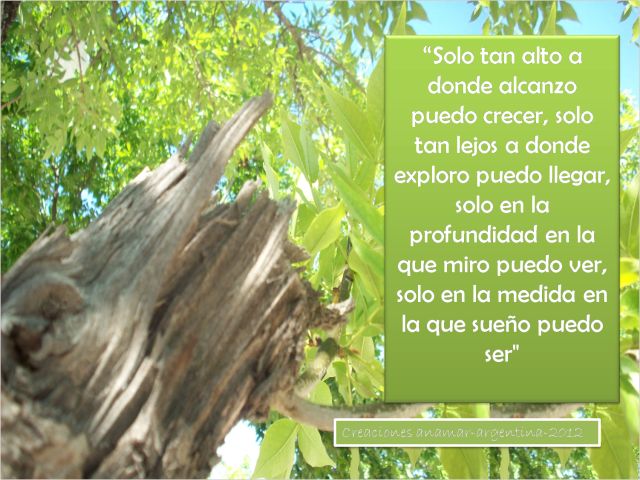 http://2.bp.blogspot.com/-x61waMhLpU4/U6I5VBXUQVI/AAAAAAAAEmI/dFRMi78CuGs/s1600/frase-22-creaciones-anamar-argentina-2012.png