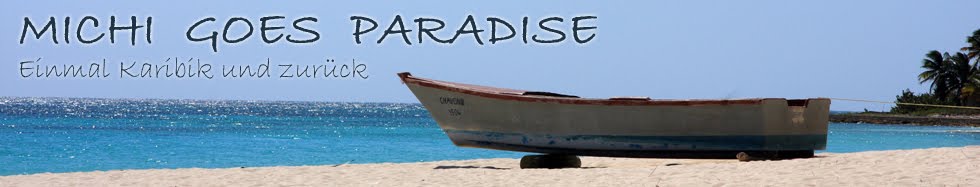 Michi goes paradise