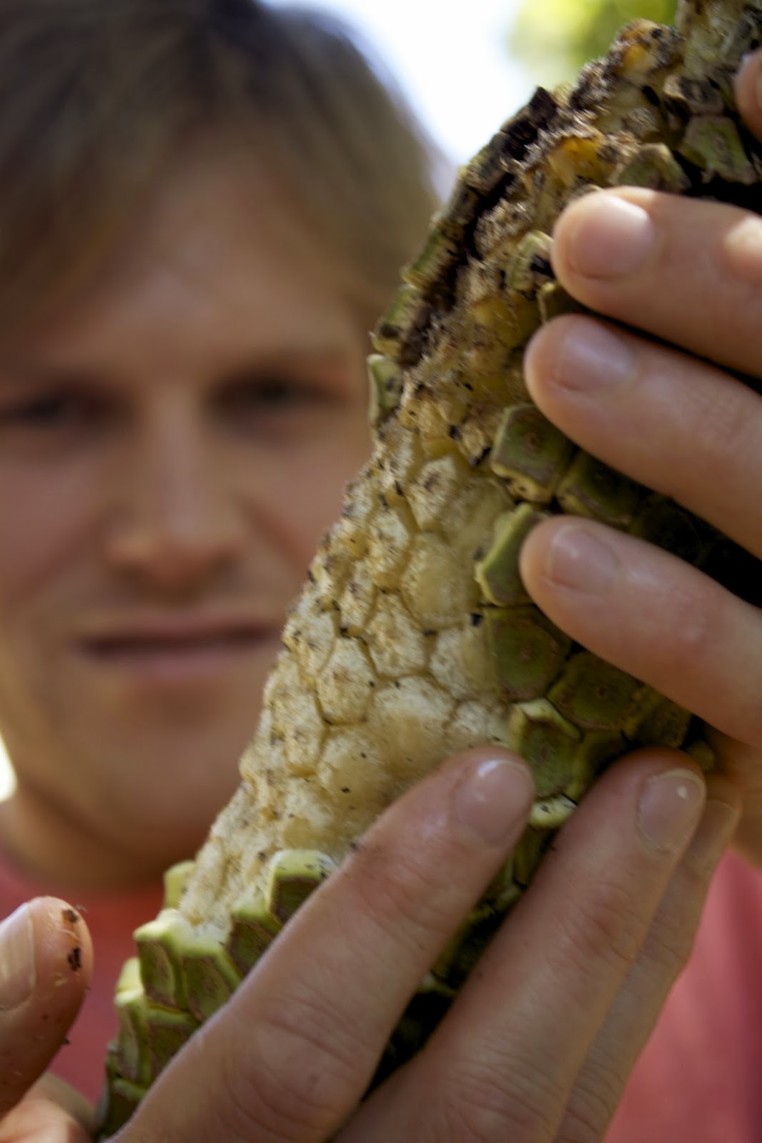 The Urban Hunter Gatherer WYNANDT AND THE DELICIOUS MONSTER (MONSTERIA