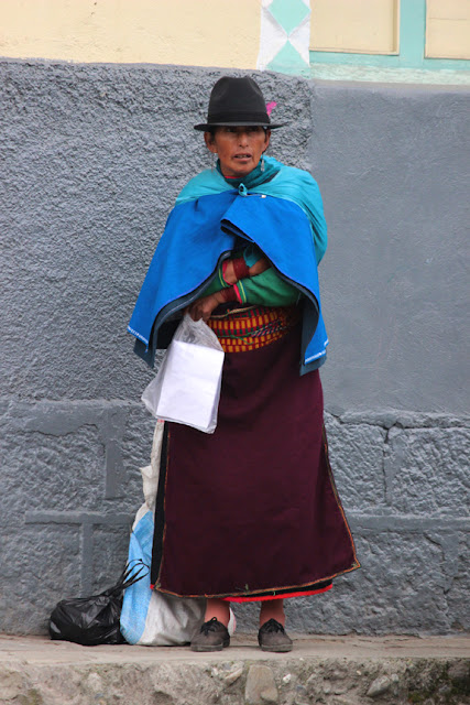 que fait un crocodile quand il en rencontre un autre il l accoste