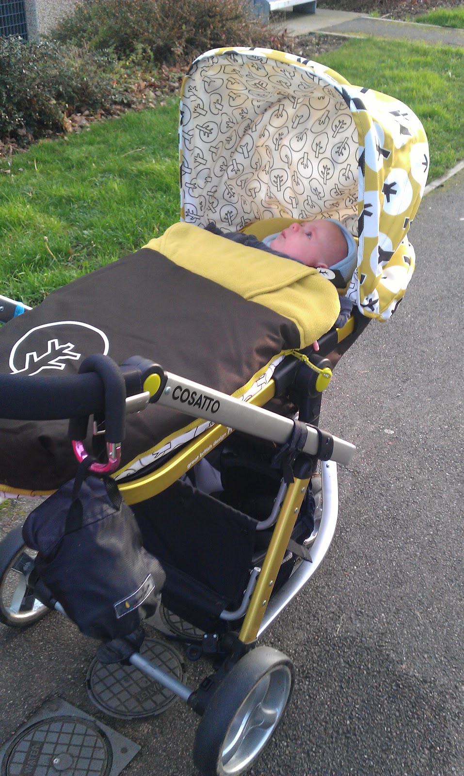 cosatto giggle treet