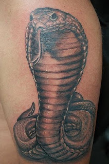 Tatuagem de Cobras ideias, dicas, fotos, imagens e desenhos de Tatuagem de Cobras