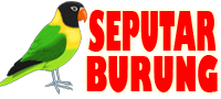 Artikel Seputar Burung dan Tips Merawat Burung