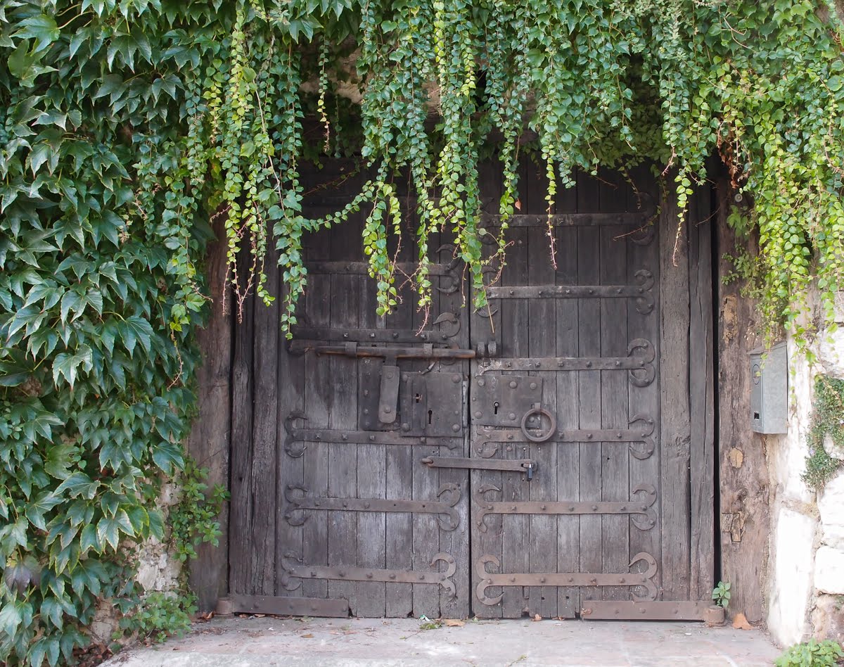948 #7F8744 Monte Carlo Weekly Photo: The Most Beautiful Garage Door pic Beautiful Garage Doors 38011200