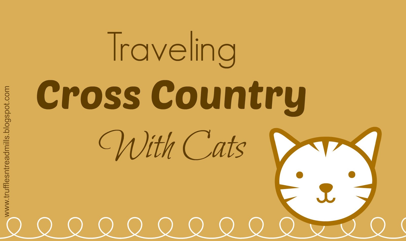Truffles n' Treadmills Traveling Cross Country with Cats