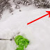 An Avalanche Could Have Been Tragic, But Instead, These Skiers Experienced A Miracle