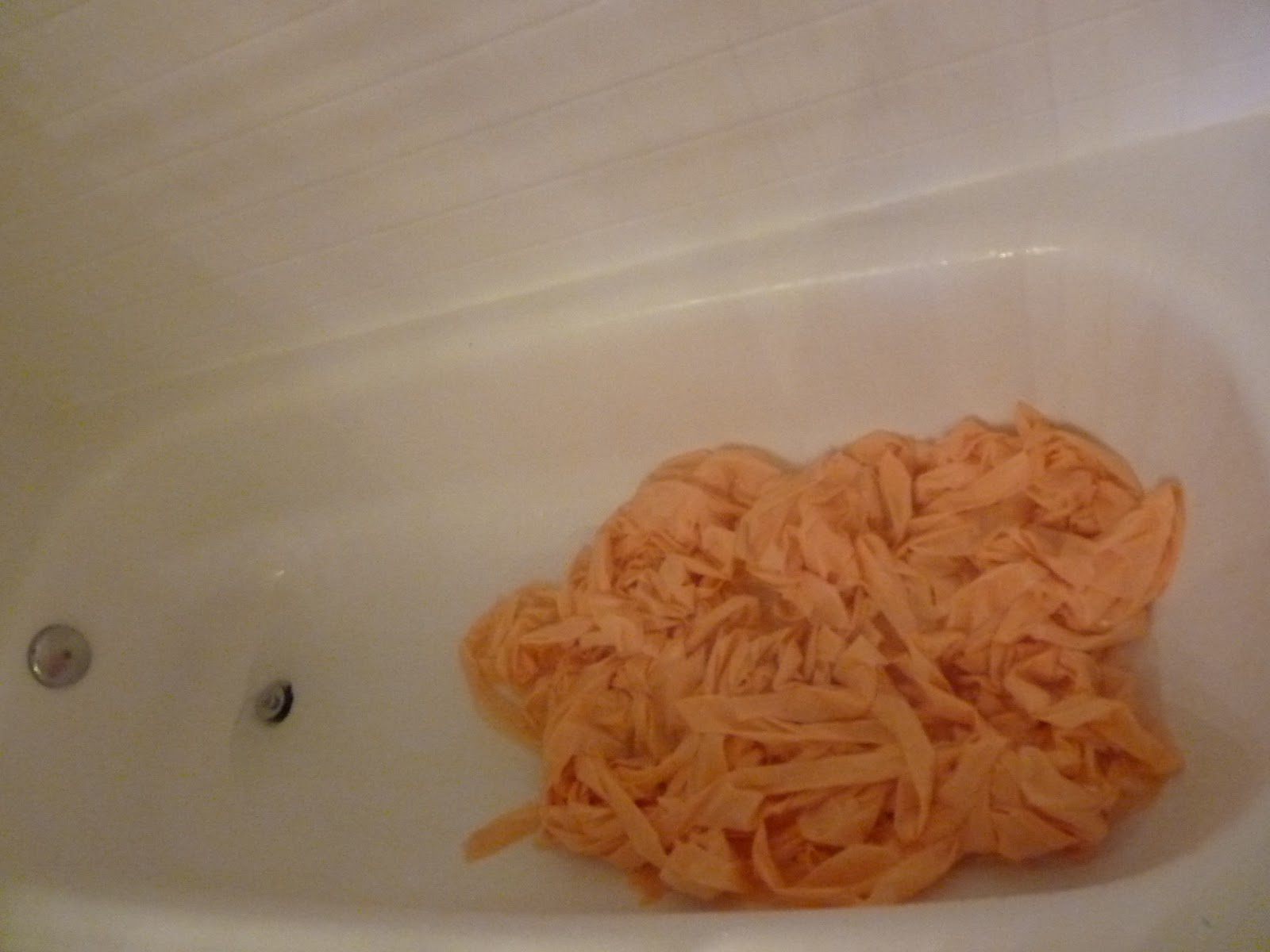 d i y d e s i g n How To Fade Fabric