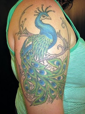 Peacock Tattoos Peacock Tattoos