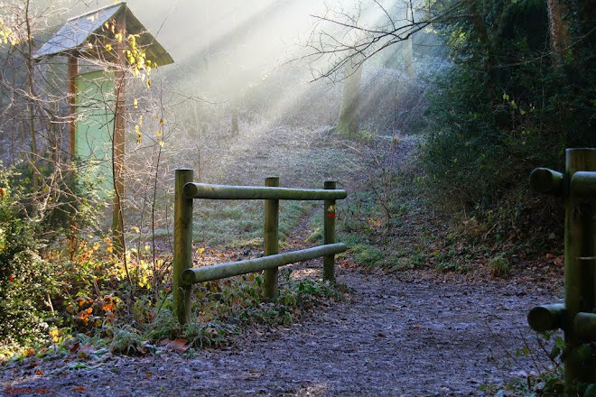 CAMÍ  CELESTIAL