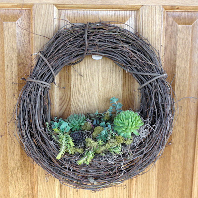 www.sosucculent.com